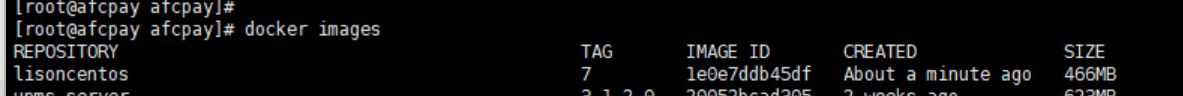 python+centos7基础镜像的docker - 图2