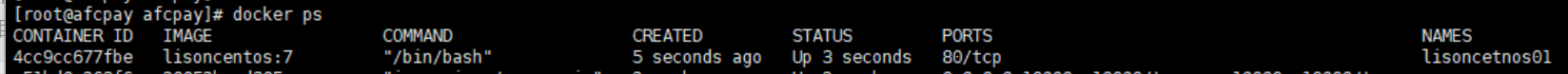 python+centos7基础镜像的docker - 图3