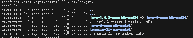 javaJDK和jvm是同一意思及生产服务器上切换java版本 - 图3