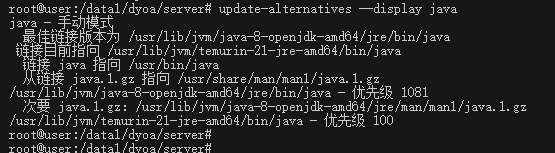 javaJDK和jvm是同一意思及生产服务器上切换java版本 - 图4