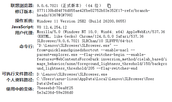 基于 Chromium 内核的浏览器-显示版本号 - 图2