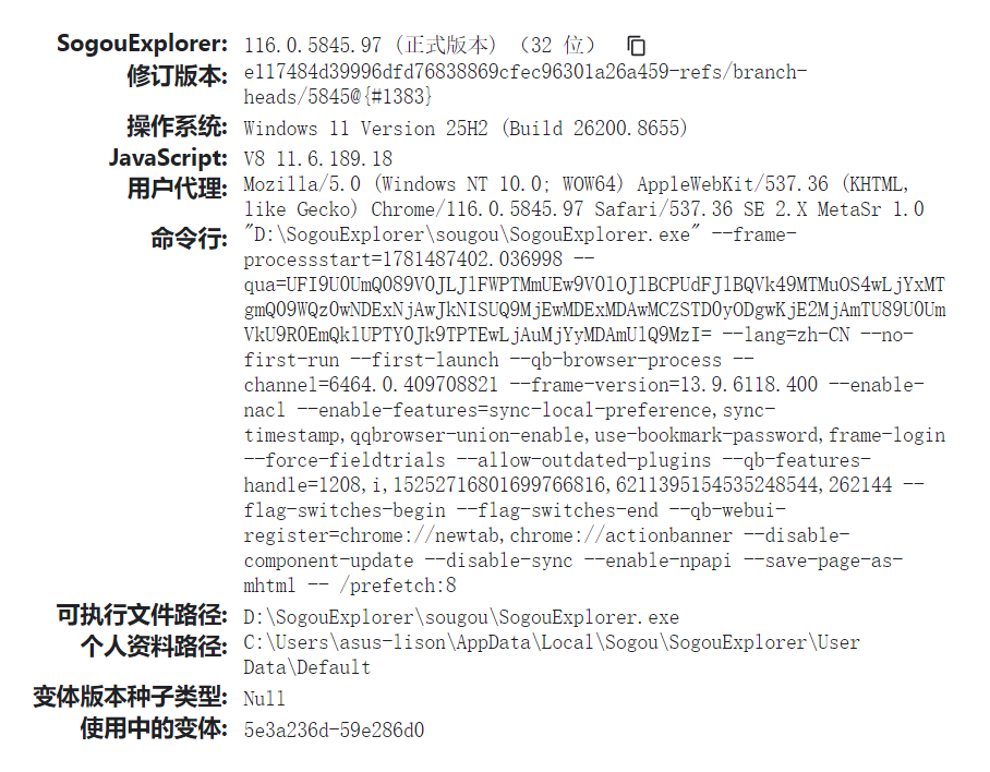 基于 Chromium 内核的浏览器-显示版本号 - 图1